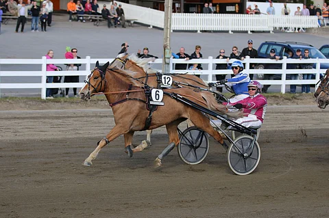 Juliette Lax piti Veluurin varmasti ulkopuolellaan Toto65-avauksessa.