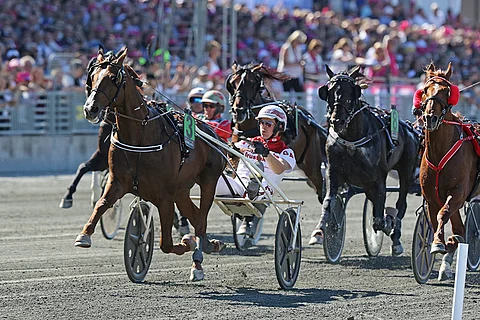 Norjalainen Lionel näytti menemisen mallia, Göran Antonsen ajaa Elitloppet-finaalissa. Kuva: Jarno Unkuri.