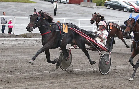 Lolo Lee kilpailee jatkossa Tapio-Mäki tulokkaan tallista käsin.