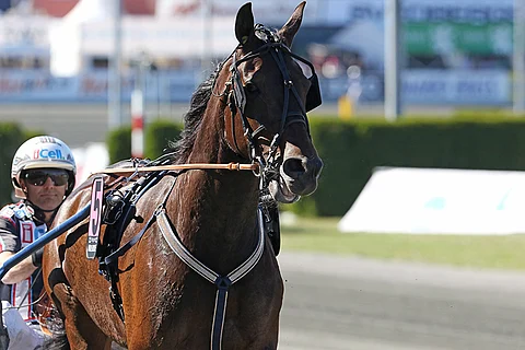Nadal Broline jatkoi hienoja juoksuja Örebrossa. Kuva: Jarno Unkuri