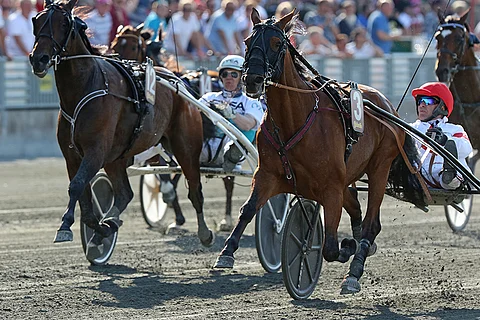 Pitkien matkojen spesialisti Platon Face piti Call Me Keeperin takanaan Harper Hanovers loppissa. Kuva: Jarno Unkuri.