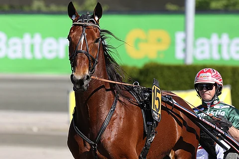 Robin Roof on helppo valinta Jokimaan T5-kierroksen ensimmäiseksi tukipilariksi.