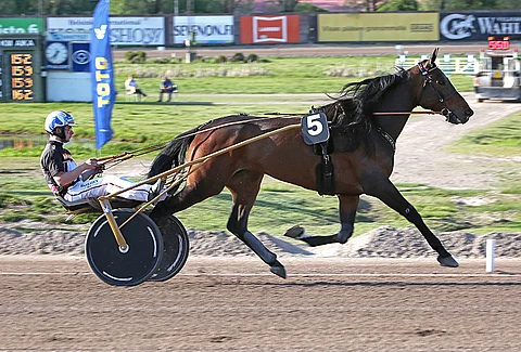 Starzinner lämmittelemässä Iikka Nurmosen kanssa.