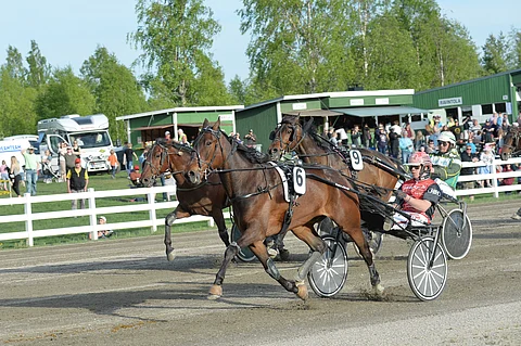 Santtu Raitala voitti Uncomparablen kanssa keulasta.