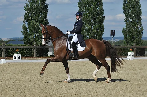 Dalou Shan ja Terhi Stegars.