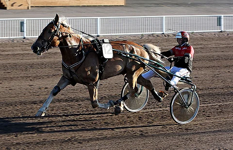 Sähköäijä on Teivon Toto5-kierroksen pankki.