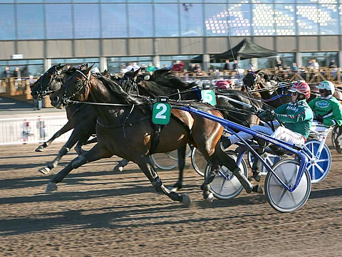 Ulk Delle Selve on voittanut Vermossakin. Tampereella sitä kuskasi kuvasta poiketen Tommi Kylliäinen.