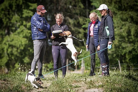 Aki Karhapää ja Tuija Rosenqvist tutustuttavat ratsastuskoululaisia maastoesteisiin.