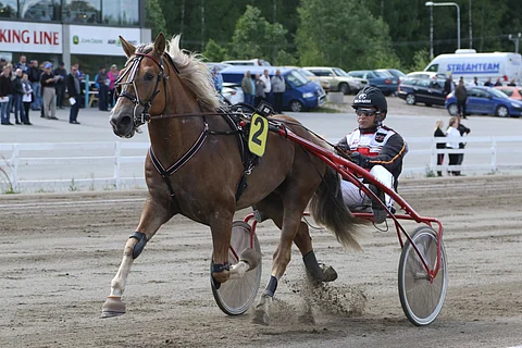 Aron Viima on mielenkiintoinen varmahaku tasaisesti pelattuun kolmoskohteeseen. Ilman takakenkiä tänään juokseva ruuna on voittanut viimeksi marraskuussa.