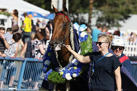 Kymi Grand Prixin sankari Aubrion du Gers teki ME:n Vichyssä. (Kuva: HU arkisto)