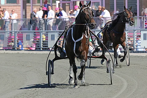 Solvallassa Elitloppet-viikonloppuna kilpaillut Callela Lisbeth kolhaisi jalkaansa ja jättää sunnuntain startin väliin.