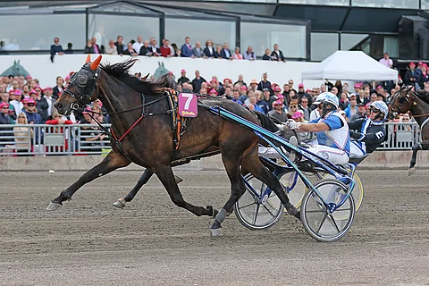 Spitcam Jubb nähdään Kouvolan Kymi GP:ssä yhdessä muiden huippuravureiden kanssa.