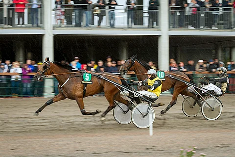 Stonecapes Queila ja Niki Finnström voittajina Powerparkin radalla viime suvena. Kuva: Ada Pykäläniemi.