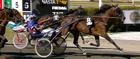 Zara Kronos kurkottaa voittoon tammojen E3-finaalissa. Kuva: ATG Live