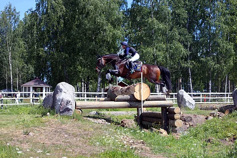 Narvik leiskauttaa yli haudan Hevosopiston hevosten ikiomalla perinnelaitumella.