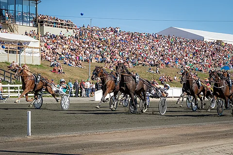 Ain't She Sweet tuikkasi lopussa kärkeen tilat saatuaan.