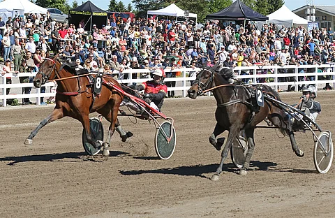 Tapio Perttusen valmentama Bosses Lady kävi kolmevuotiaiden Tammahambossa kiritaiston Even Smaller Plumia vastaan. Kuva: Annika Nisonen.