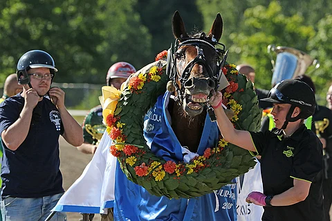 Ranch Kelly voitti lämminveristen kesäkuun Kuukauden ravurit -verkkoäänestyksen täpärästi ennen Graceful Swampia. Kuva: Jarno Unkuri.