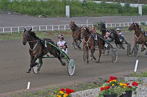 Sue's Photo selvisi vuoden 2019 Suur-Hollola-ajon finaaliin. Kuvassa tyylinäyte edellisvuodelta.