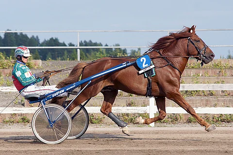 Jontikka vei Toto65-avauskohteen keulasta.