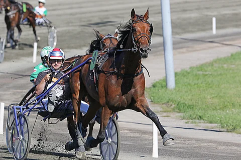 Tir du Caux humautti ohi Bret Bokon. Kuva: Jarno Unkuri.