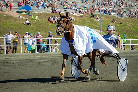 Vappuäijä on päätöskohteessa ideasysteemin varmaidea.