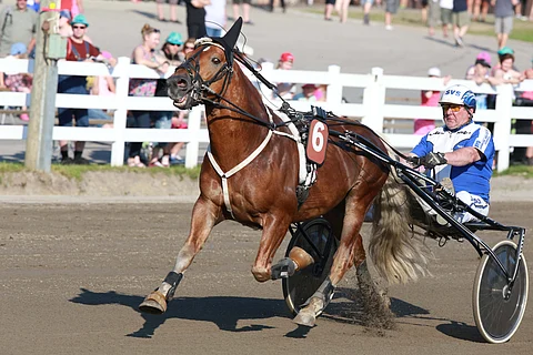 Vieskerin Valolle tuli pikkutauko kaviopaiseen vuoksi. Kuva: Totofoto
