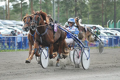 Viktor Kärpän tyylinäyte Nikulasta Toto76-4:ssä. Voitto oli Esa Holopaisen valmennettavan neljäs peräkkäinen. A.T. Veeti sijoittui vahvan juoksun jälkeen kuolemanpaikalta toiseksi, kun Lumi-Masi laukkasi menestystään maalisuoralla. Kuva: Elina Paavola.