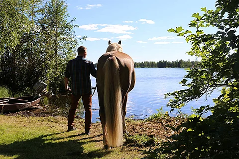 Ville Herttua keskittyy Costellon kanssa kesän myöhempiin koitoksiin.