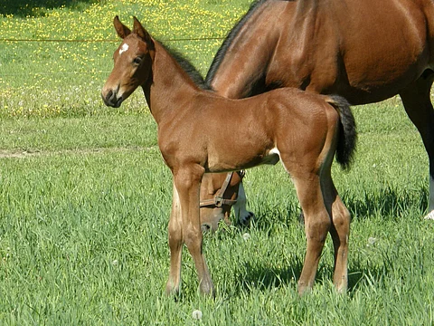 Kuukauden FWB 10 vuotta sitten.