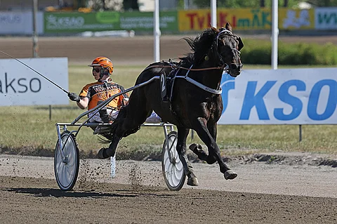 Celebrity Lane ei häviä.