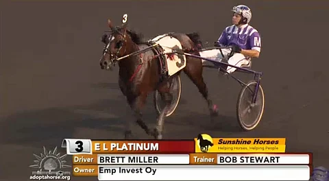 E L Platinum hölkkäsi rennosti voittajanesittelyyn Brett Millerin ajamana perjantai-iltana Meadowlandsissa. Kilpailussa kiinnitti huomiota vasemmalle voilokin päälle sivuaisaan kiinnitetty hevosen häntä. Kuva Meadowlandsin live video