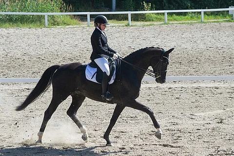 Louise Jönsson ja Dayna.