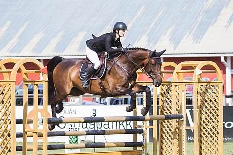 Le Petit Amour ja Susanna Rautanen.