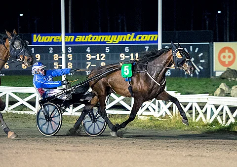 Maarit Ollikaisen valmentama Ambrogio on pärjännyt erityisen hyvin juuri Äimärautiolla.