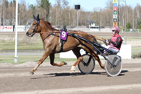 Siirin Älli on ensimmäinen kolmesta varmasta.