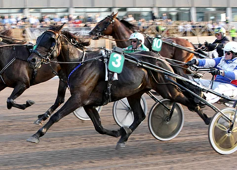 Sisäradan Raw Jack piti kuin pitikin voittoon Toto65-avauskohteessa.