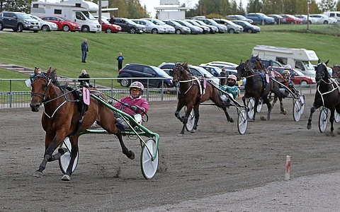 Attack Diablo nipisti keulajuoksullaan rataennätyksestä kaksi kymmenystä. Ranskaan tähyävä Ranch Kelly sai tyytyä takarivistä kakkossijaan. Kuva: Annika Nisonen.
