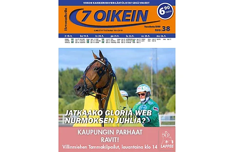 Ikäluokkatammat kohtaavat