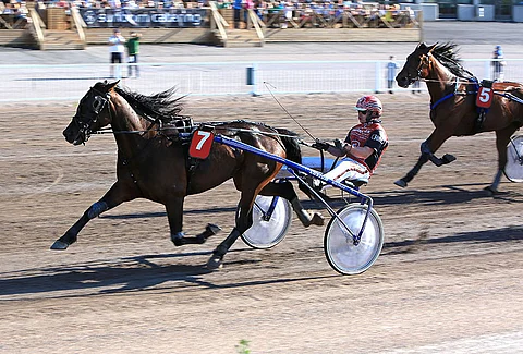 Miss Maverick oli iltapäivällä Toto65-3:ssa kakkossuosikki BWT Crusaderin jälkeen.