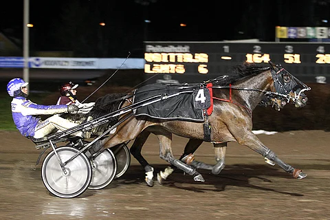 Radiance Broline hakee tammalähdössä yllätystä.