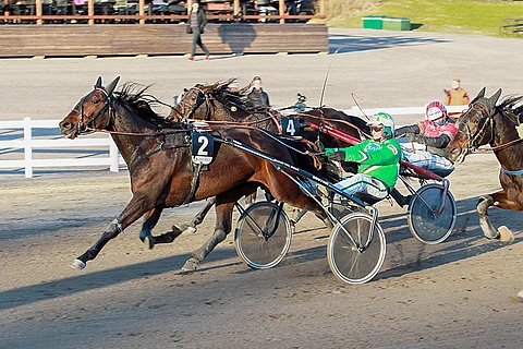 May Rose aloitti uransa Ville Mäkelän tallista. Voittosummaa on kertynyt tähän mennessä reilut 40 000 euroa.