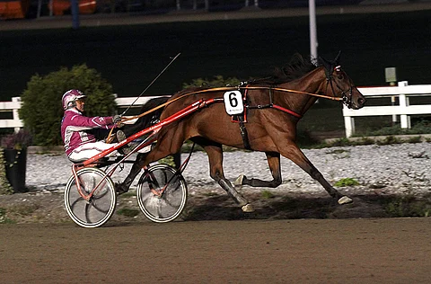 Bosses Lady aloitti vakuuttavien karsintavoittajien sarjan.