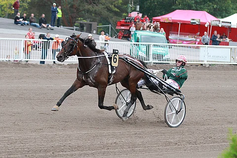 Ranch Kelly on Vermon Toto64-kierroksen pitävä varma.