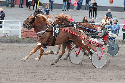 Juiseri palaa Mikkeliin tauolta.