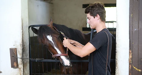 Lucas Wallin kuuluu nuoreen ruotsalaisvalmentajien joukkoon, jotka tekevät unelmistaan totta USA:n raviurheilussa. Torstaina tallin 4 kilpailijasta kolme juoksi voittoon. Kuva: Totofoto