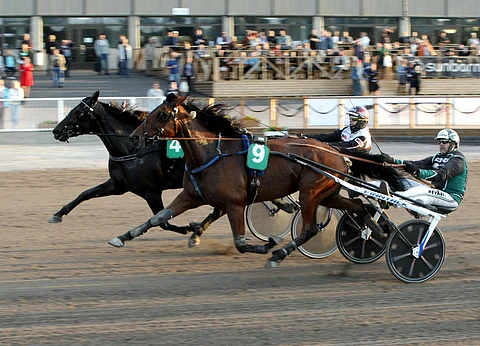 Mika Forssin ajaman Angel Razielin kiukkuinen loppuveto toi Toto65-voiton.