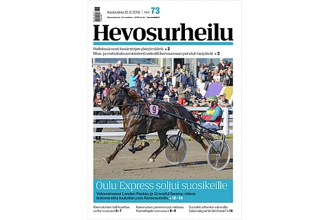 Landen Paukku on nelivuotiaiden suomenhevosten johtotähti. Tuorein osoitus tästä saatiin lauantain Oulu Expressissä. Kannen kuva: Anu Leppänen.