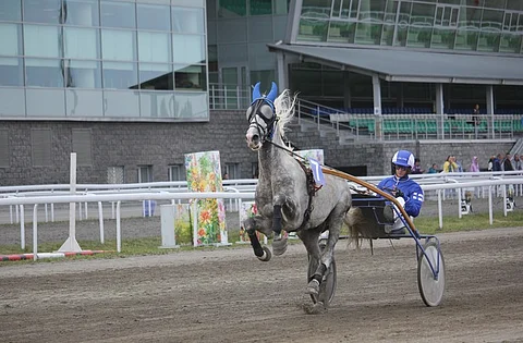 Iivari Nurmisen haave EM-kullasta tärvääntyi laukka-askeliin. Kuva: Merja Tuunanen