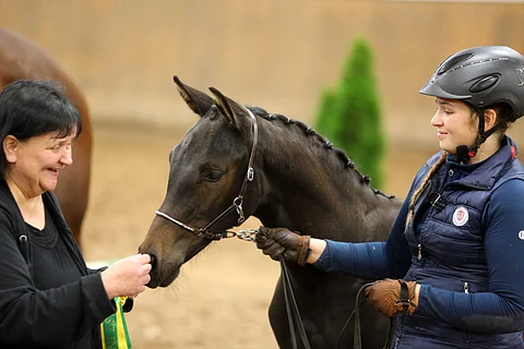 Jalo, komea ja rohkea Comme La Lumiere valaisi Ypäjä-hallin. Mintti Hassinen näyttää palkintojenjaossa voittoruusuketta ja esittäjä Heidi Mattila taluttaa.
